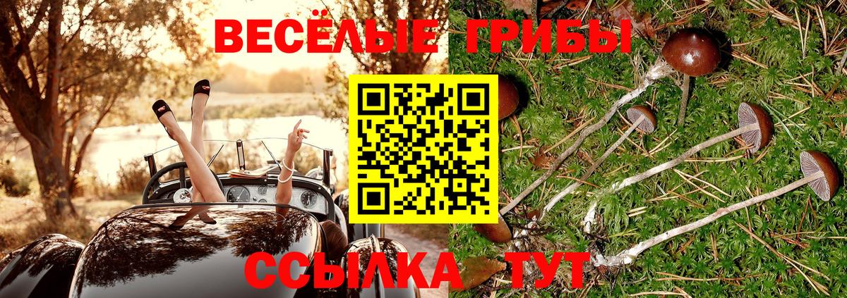 Псилоцибиновые грибы GOLDEN TEACHER Наро-Фоминск