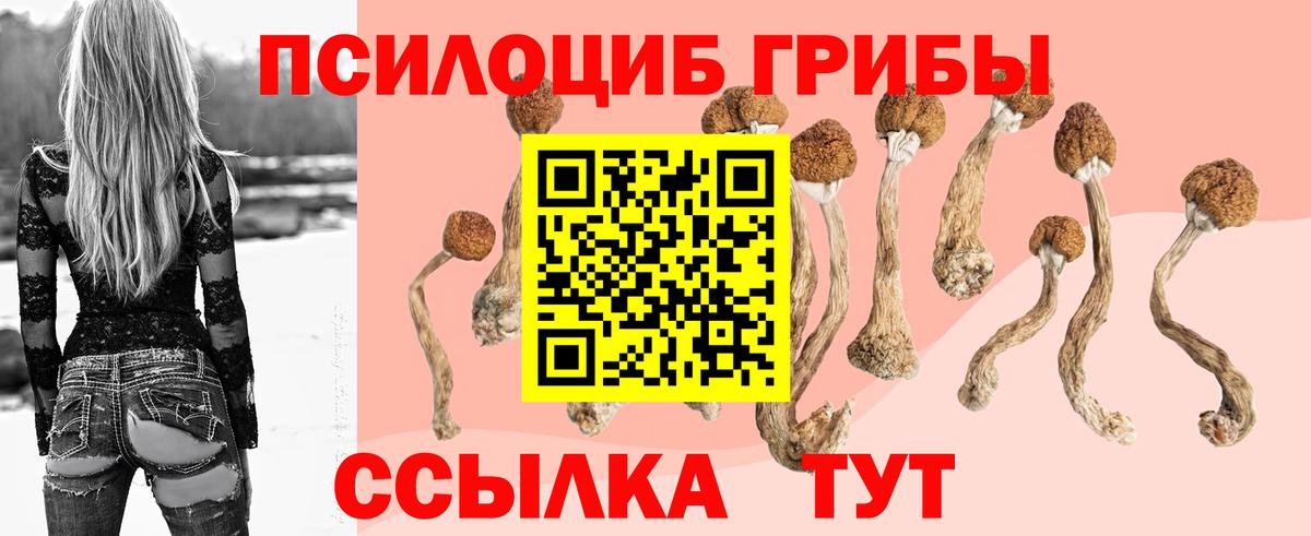 Псилоцибиновые грибы GOLDEN TEACHER  Вход с VPN  Наро-Фоминск 